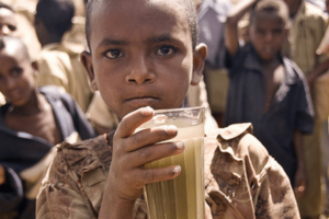 Food Security test